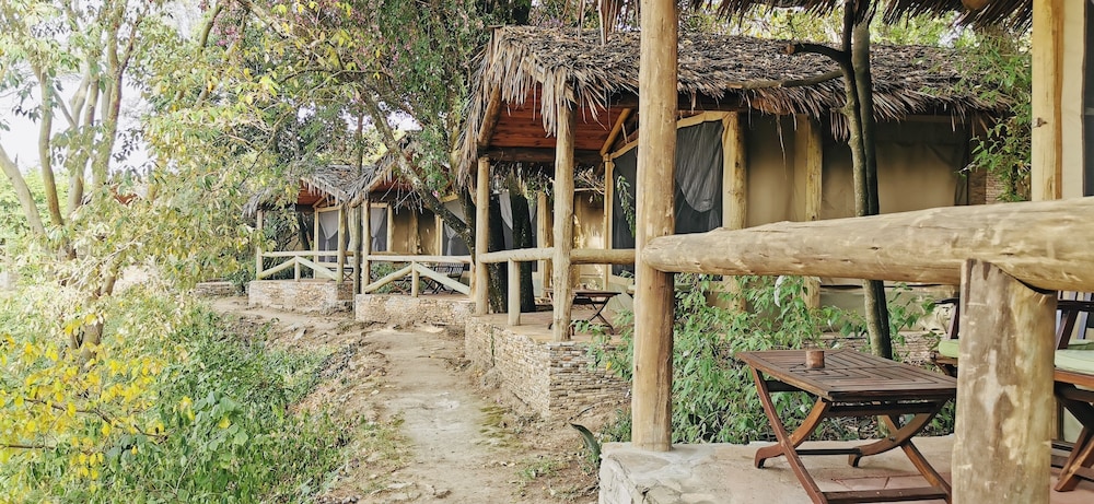 Fig Tree Camp 42/45