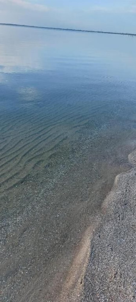 Pousada Algodao da Praia 51/60