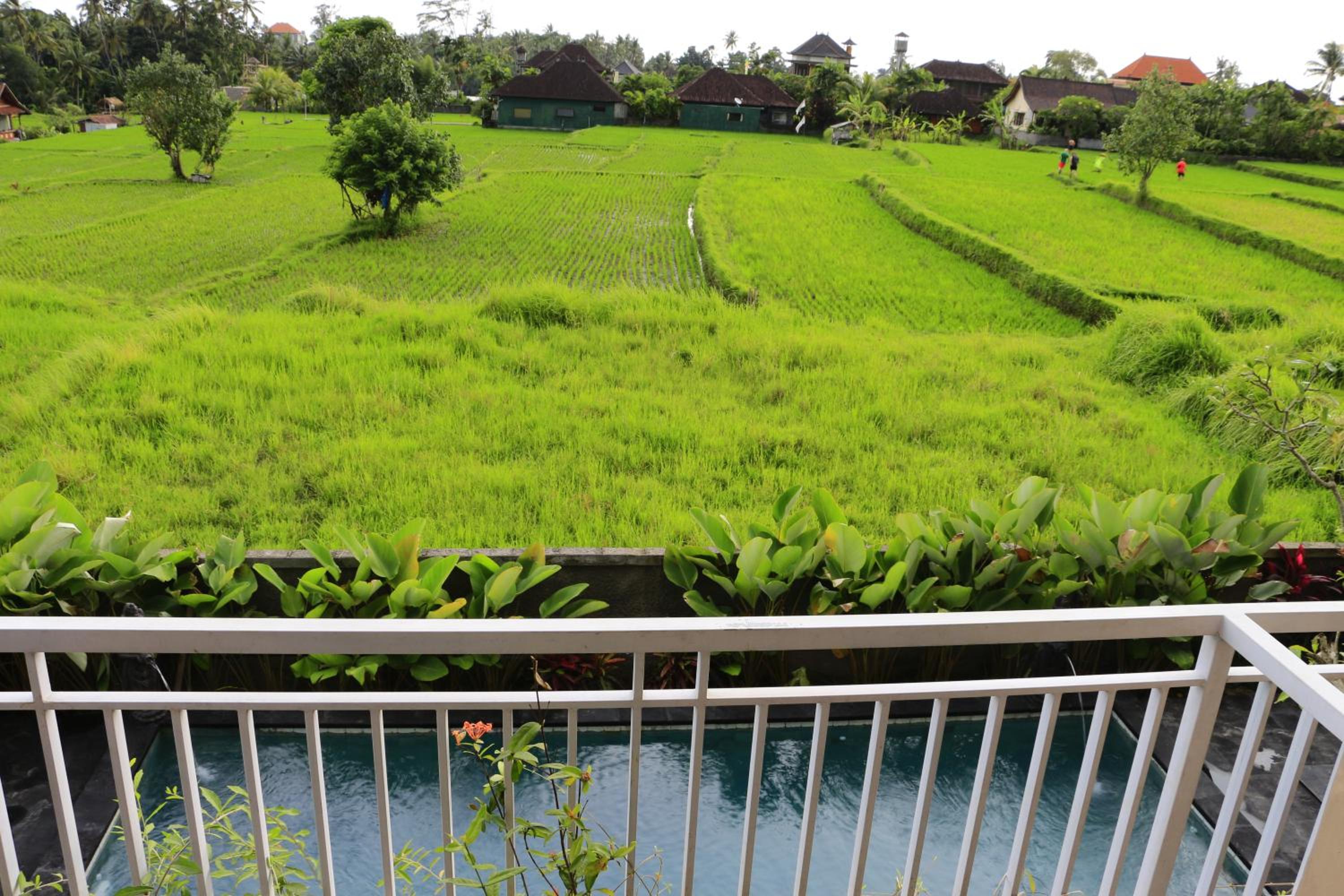 Uma Kutuh 2 38/50