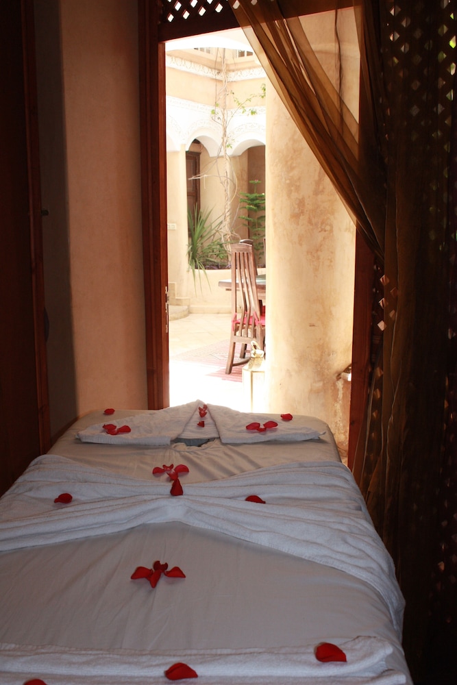 Riad Lorsya 17/46