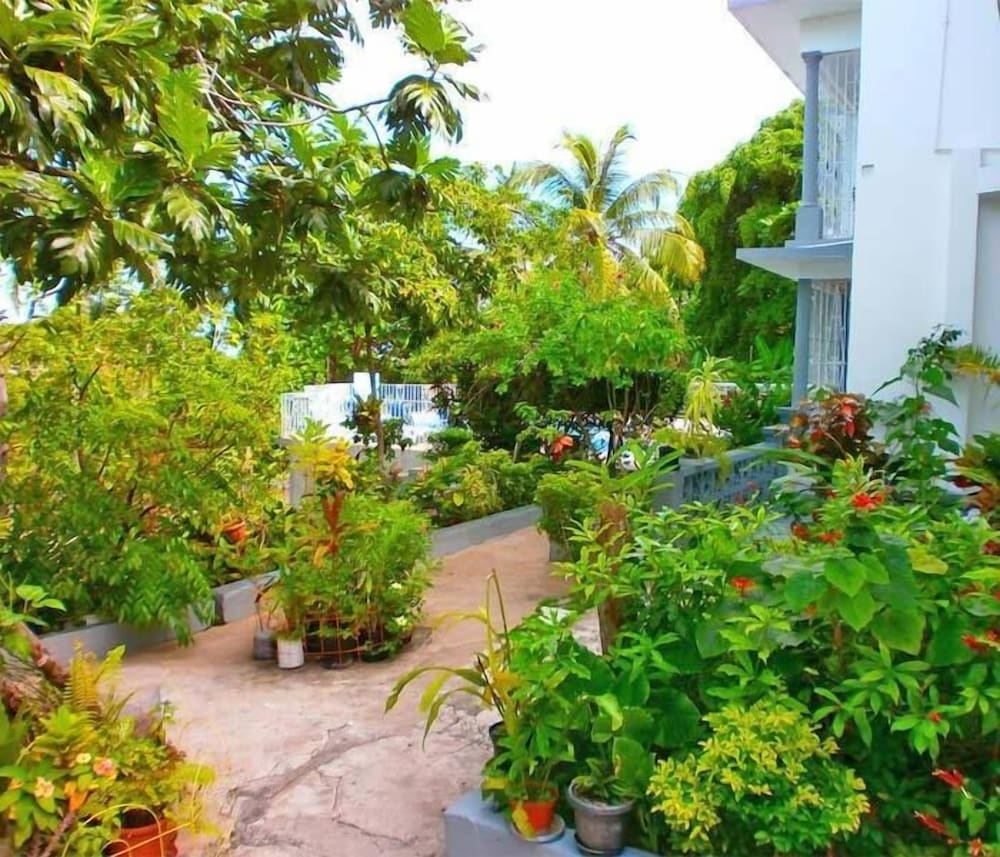Palm View Guesthouse and Conference Centre 29/42