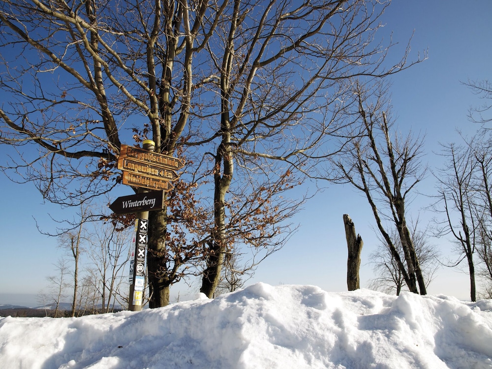 Avital Resort Winterberg 37/50