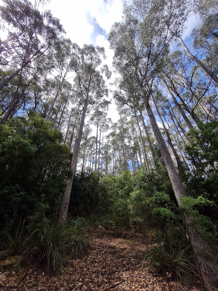 HUON BUSH RETREATS 50/50