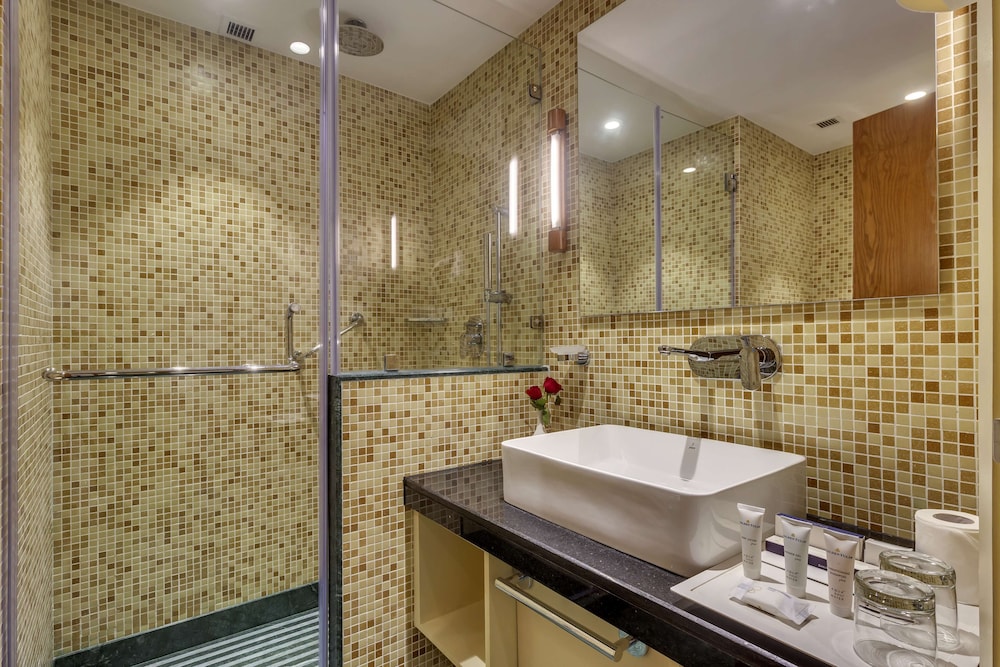 Golden Tulip New Delhi - Hari Nagar 36/38