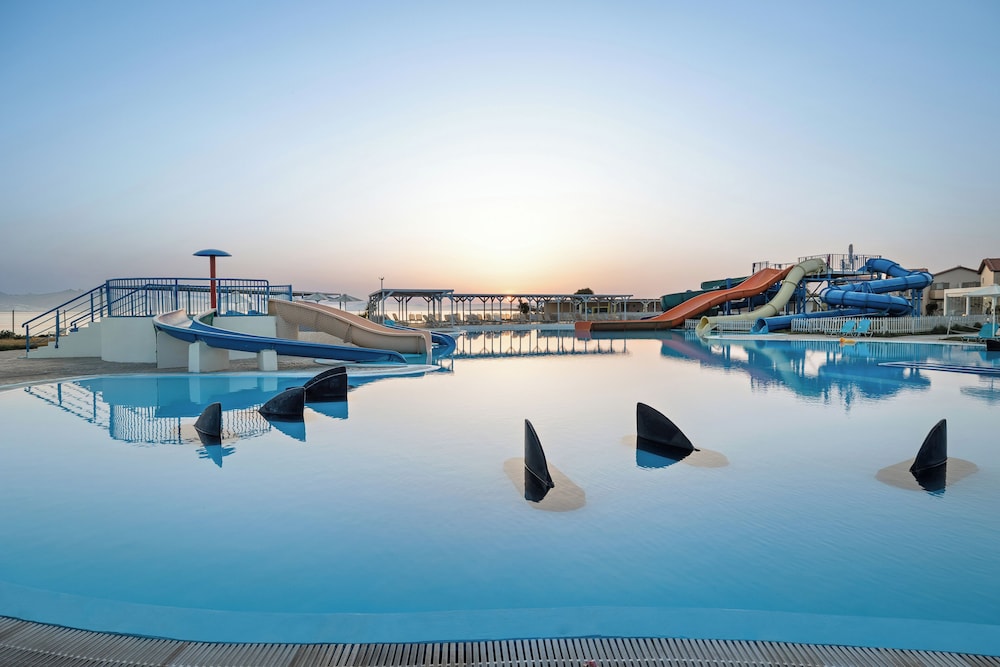 White Olive Marine Aquapark 61/69