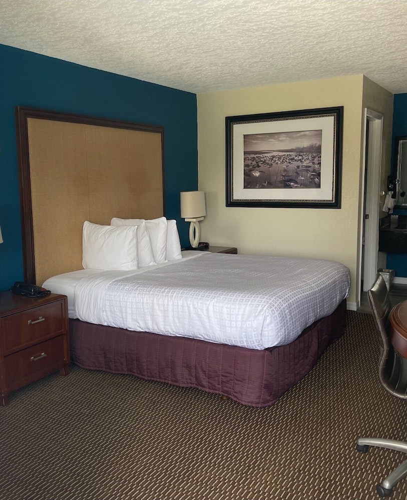 Red Roof Inn Kissimmee, FL 13/37