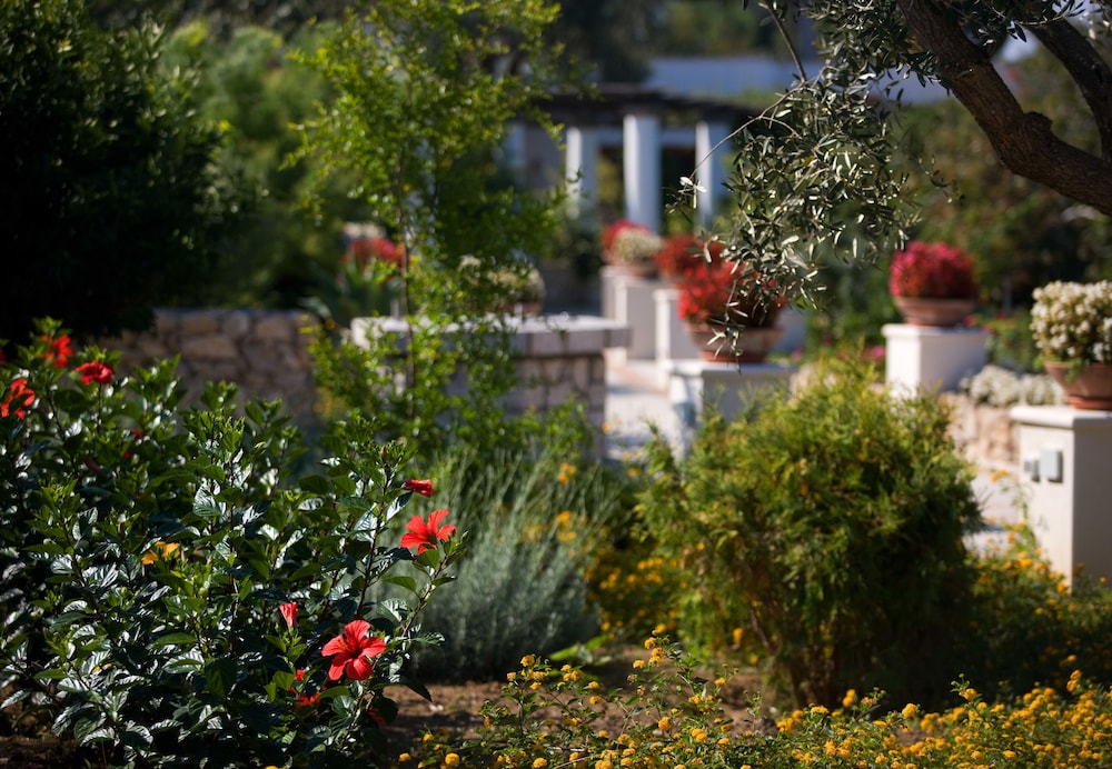 Hotel Al Mulino 32/50