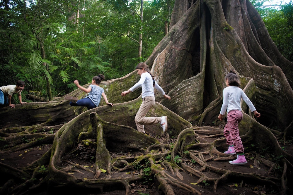 Buena Vista Del Rincon Eco Adventure Park, Hotel & Spa 61/66