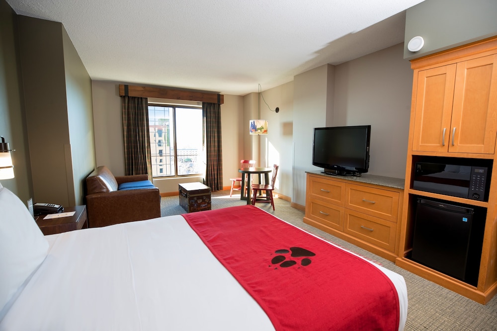 Great Wolf Lodge Bloomington 11/49