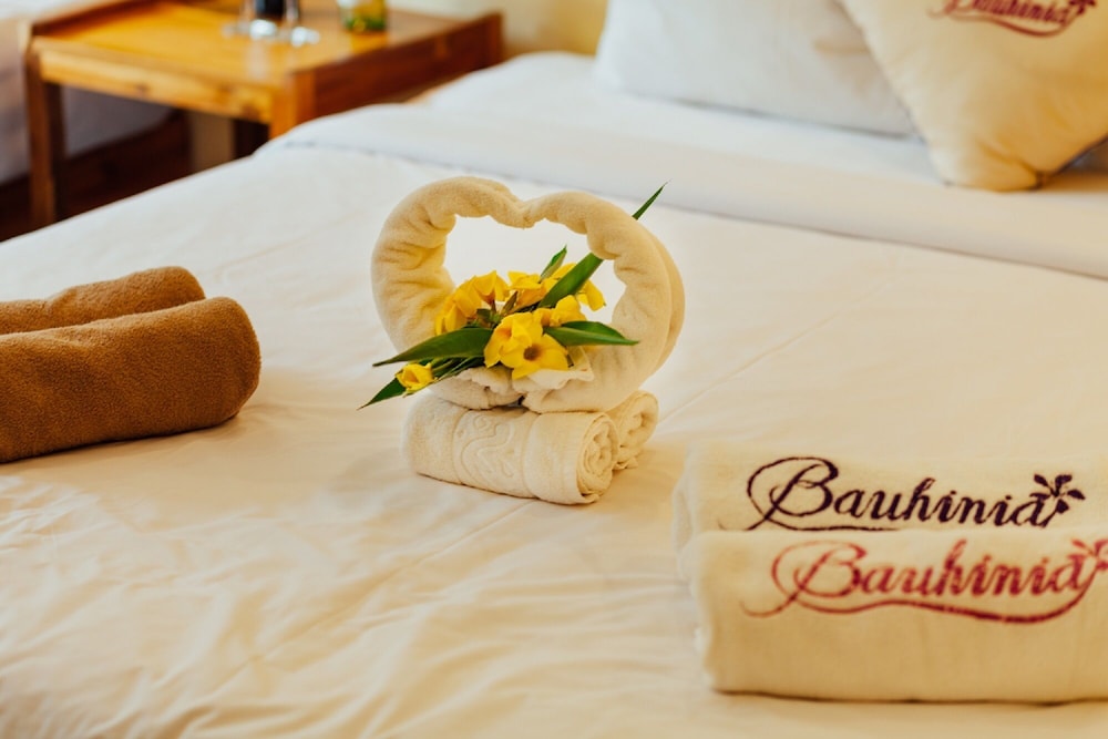 宝盈度假村(Bauhinia Resort) 图片2