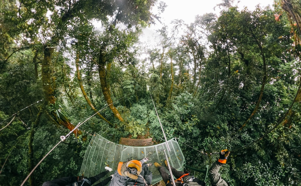 Tree Trek Boquete Adventure Park 32/50