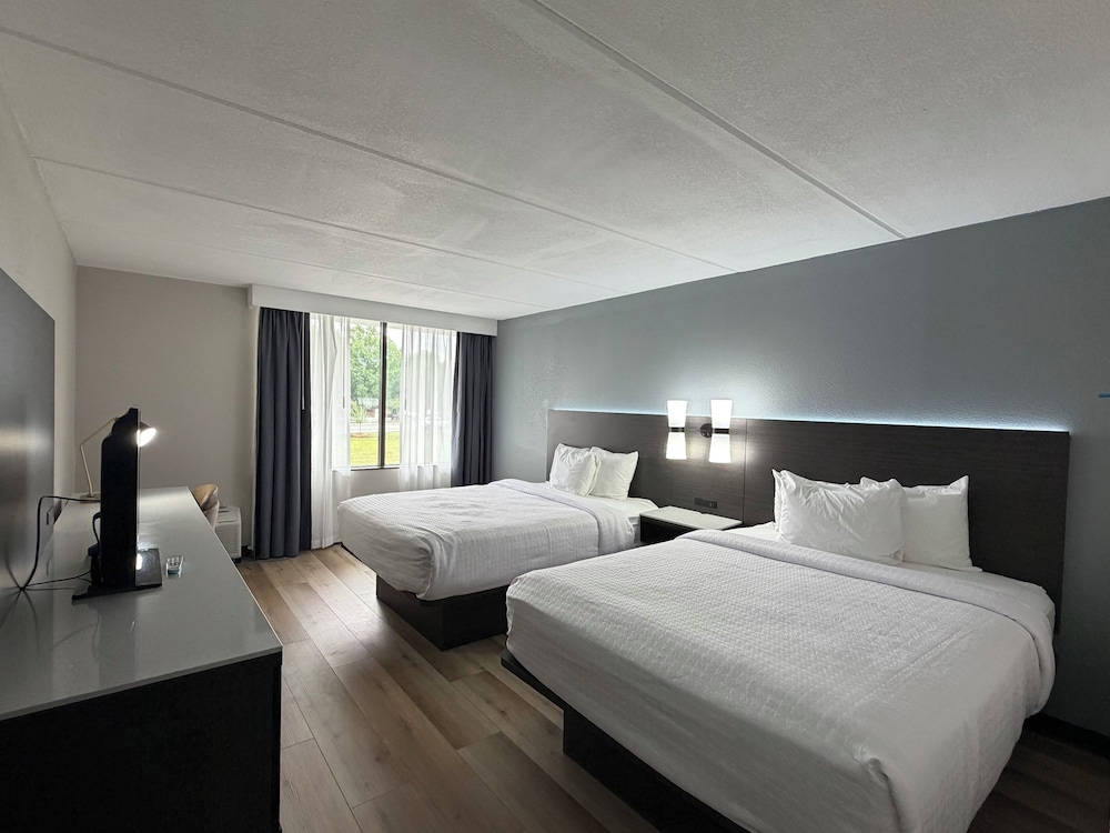 Standard, 2 Double Beds
