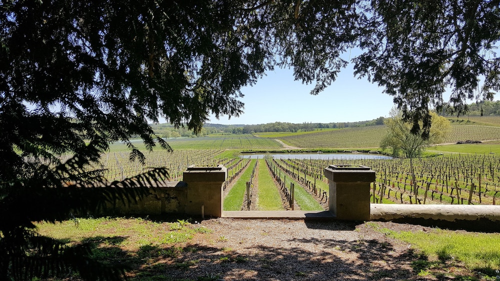 Les Secrets Chateau Pey La Tour 48/54