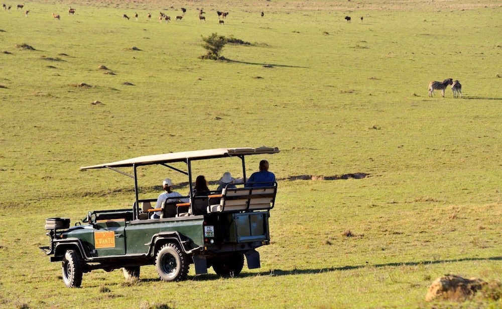 Kwantu Game Reserve 31/43