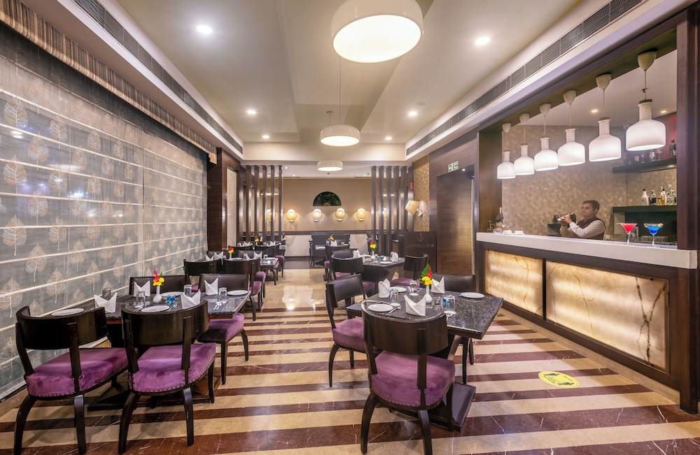The Golden Palms Hotel Spa Delhi 34/41