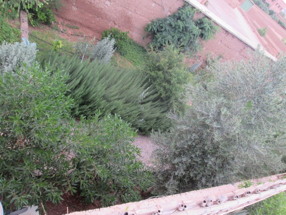 Auberge Toda 33/50
