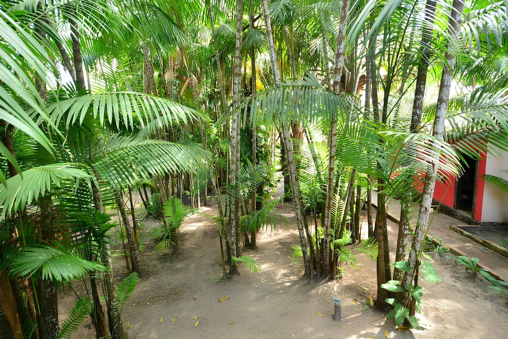 Encantes do Nordeste 46/50