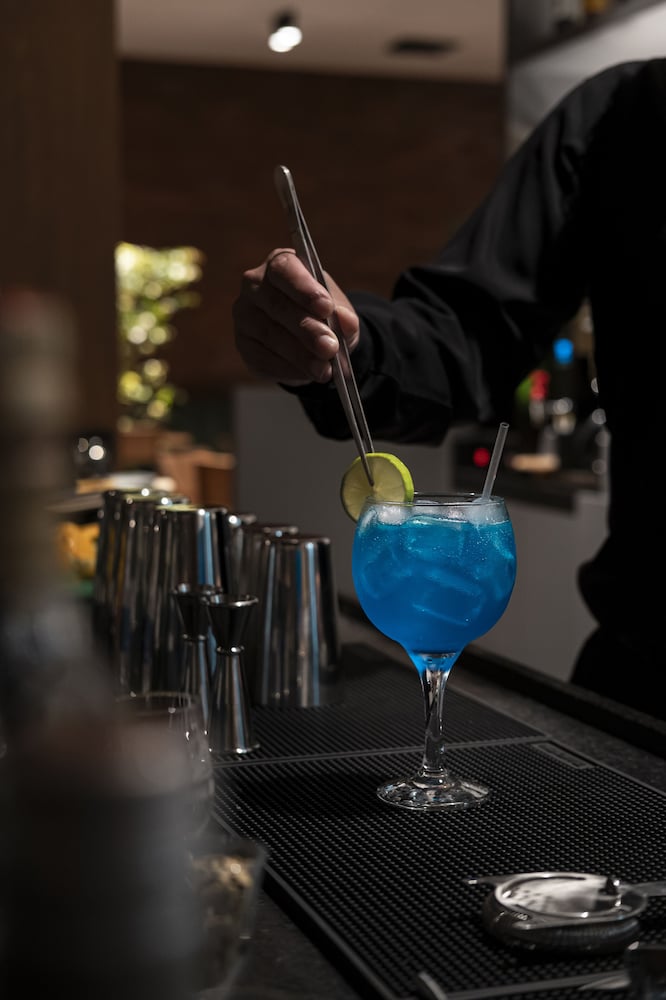 Plaza Hotel & Boulevard Convention Vale dos Vinhedos 23/49