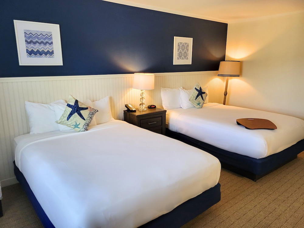 studio, 2 queen beds, kitchenette