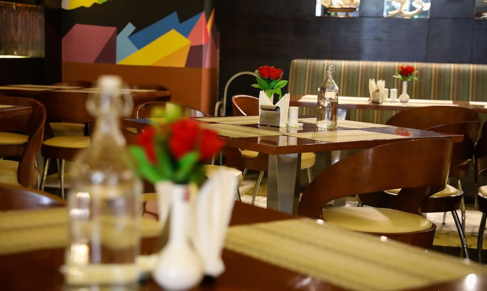 DS Clarks Inn Gurgaon 20/42