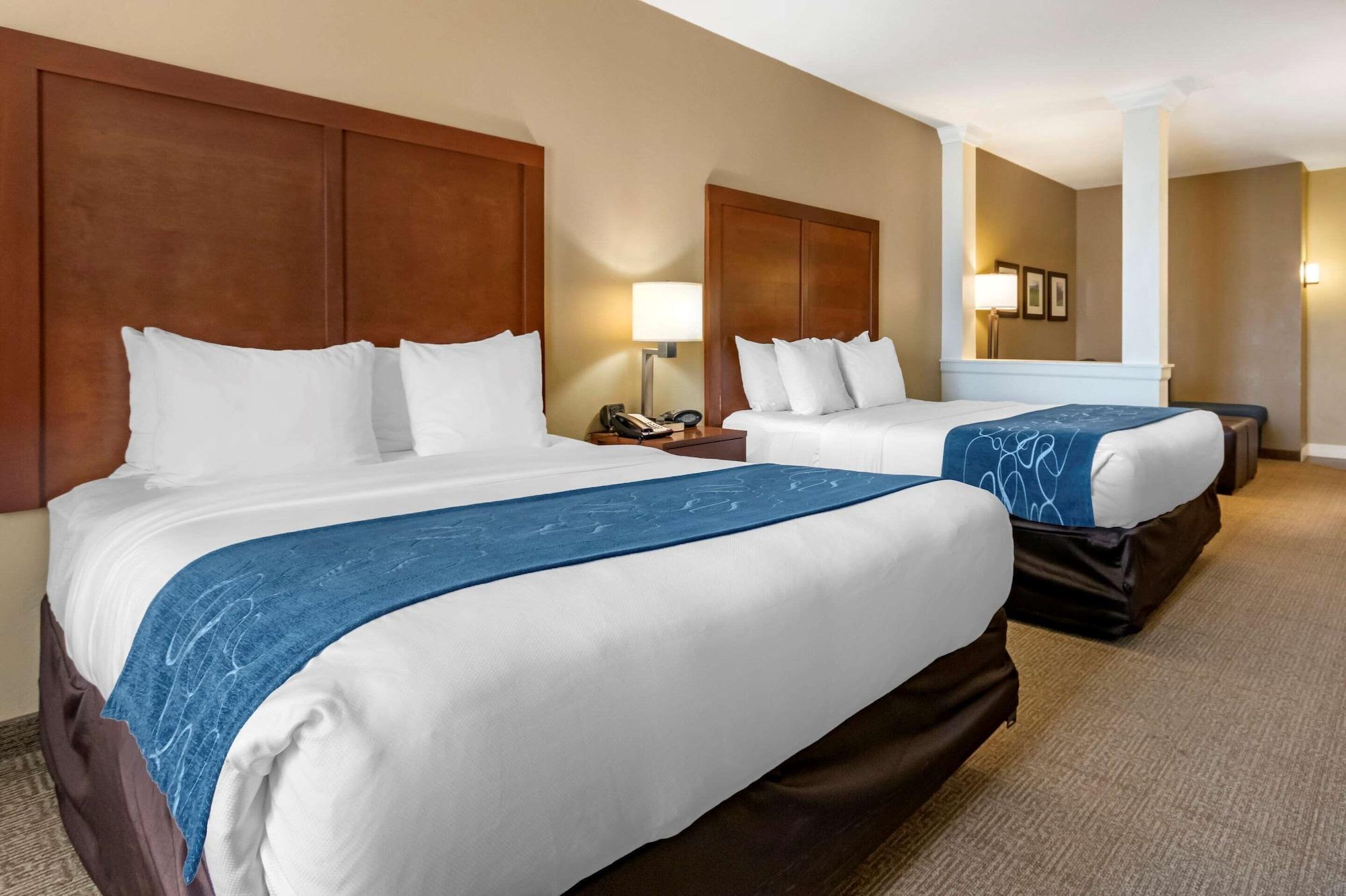 Suite, Multiple Beds, Accessible