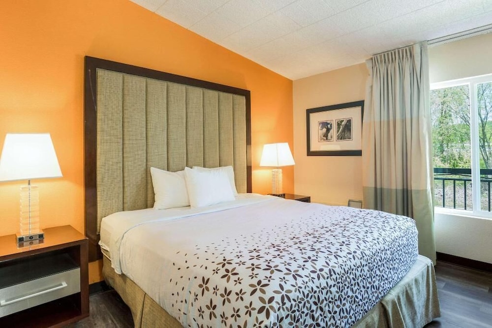 Rodeway Inn And Suites Stroudsburg - Poconos 6/20