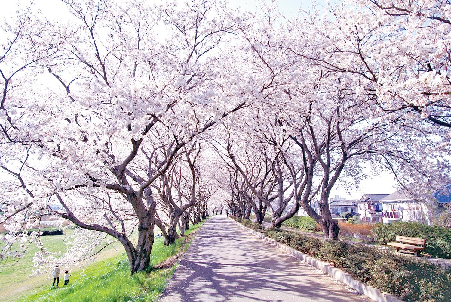 Hoshino Resorts BEB5 Tsuchiura 48/51