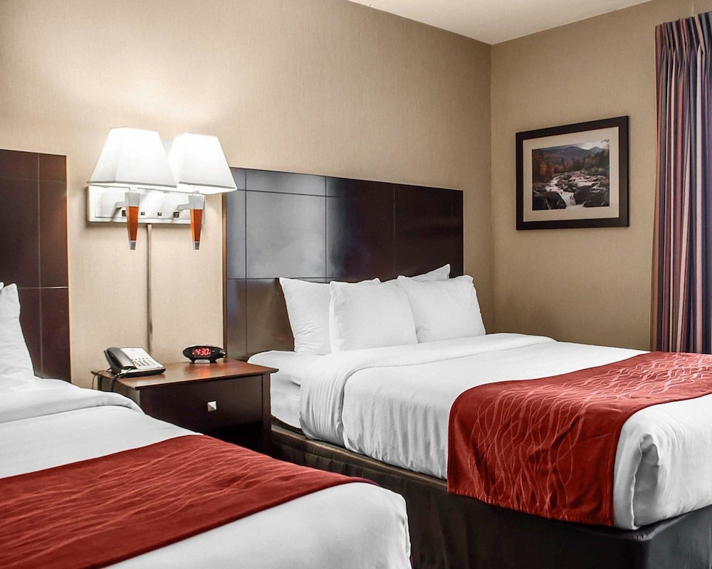 Comfort Inn & Suites Watertown - 1000 Islands 32/54