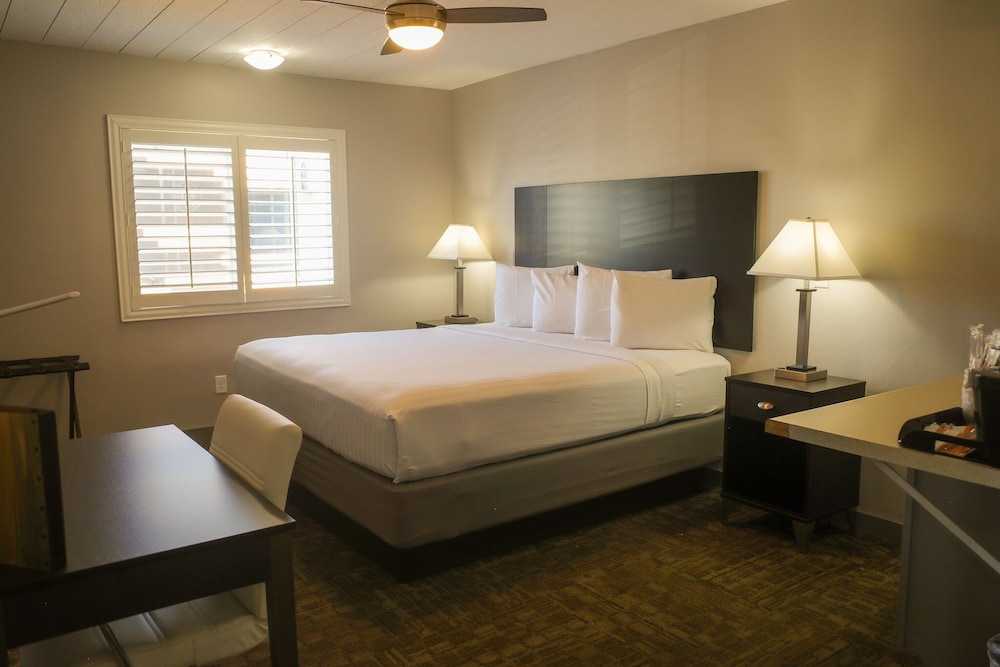 Americana Modern Hotel 7/38