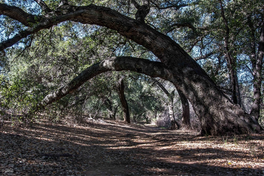 surroundings
