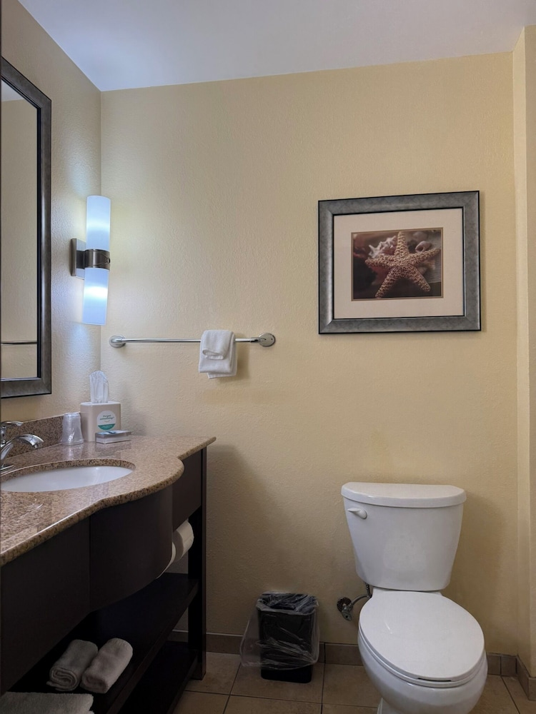 HOLIDAY INN TITUSVILLE KENNEDY SPACE CENTER 74/76