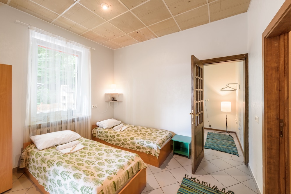Downtown Forest Hostel & Camping 9/50