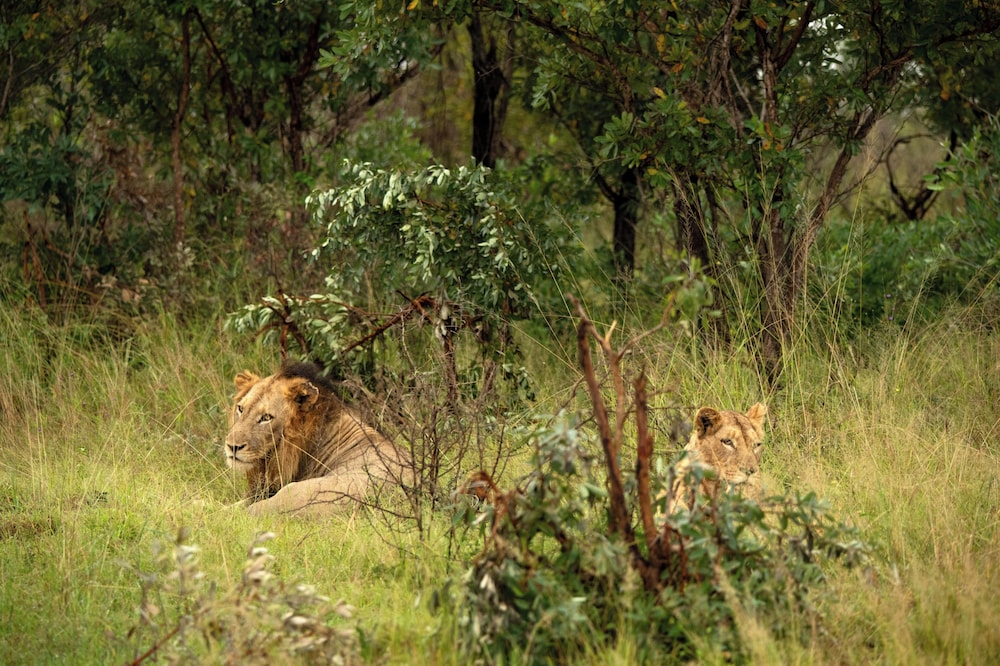 Skukuza Safari Lodge 61/65