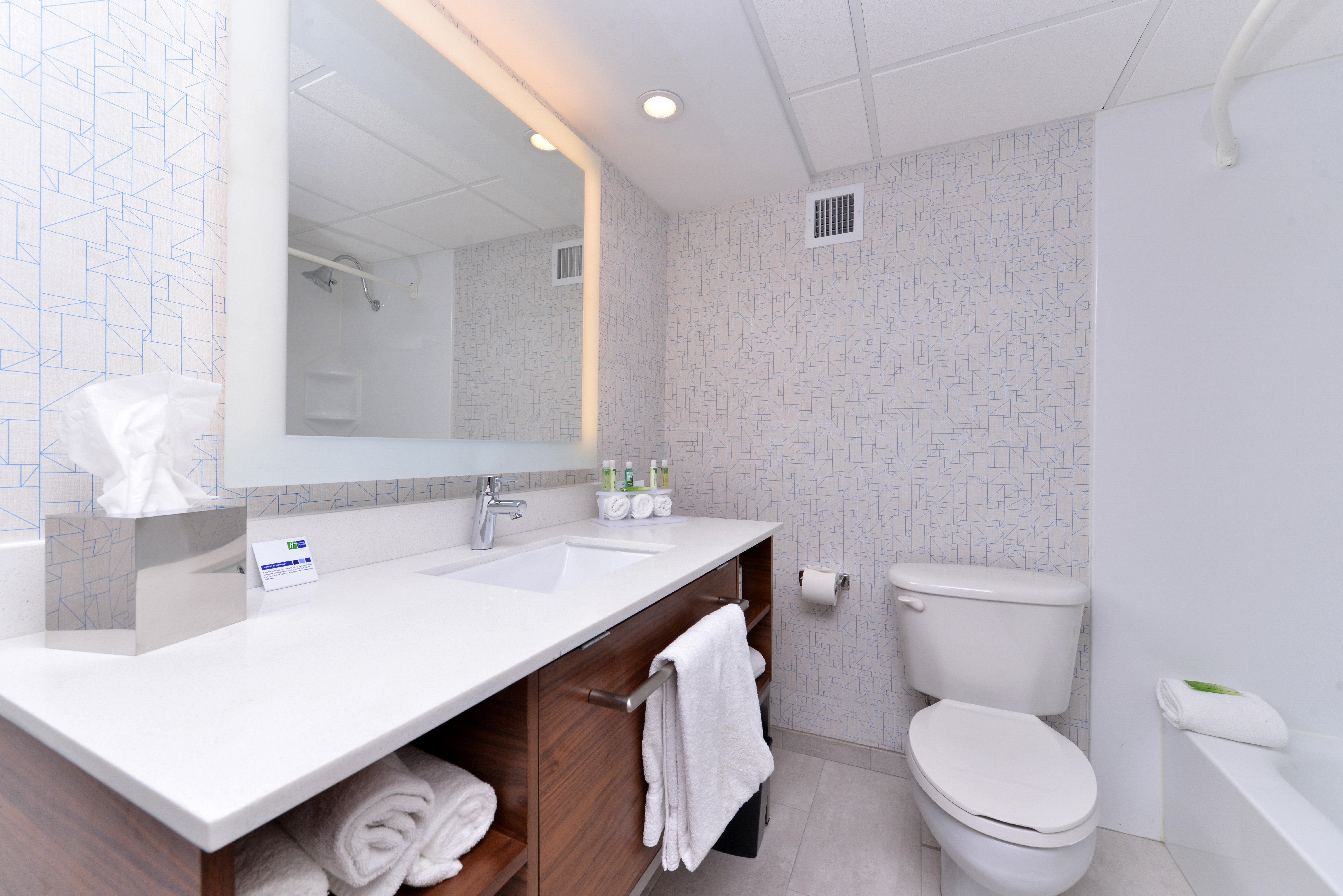 Holiday Inn Express Springfield 20/21