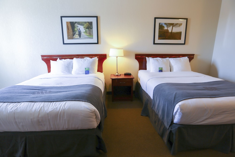 Lakeview Inns & Suites - Fort Nelson 17/35