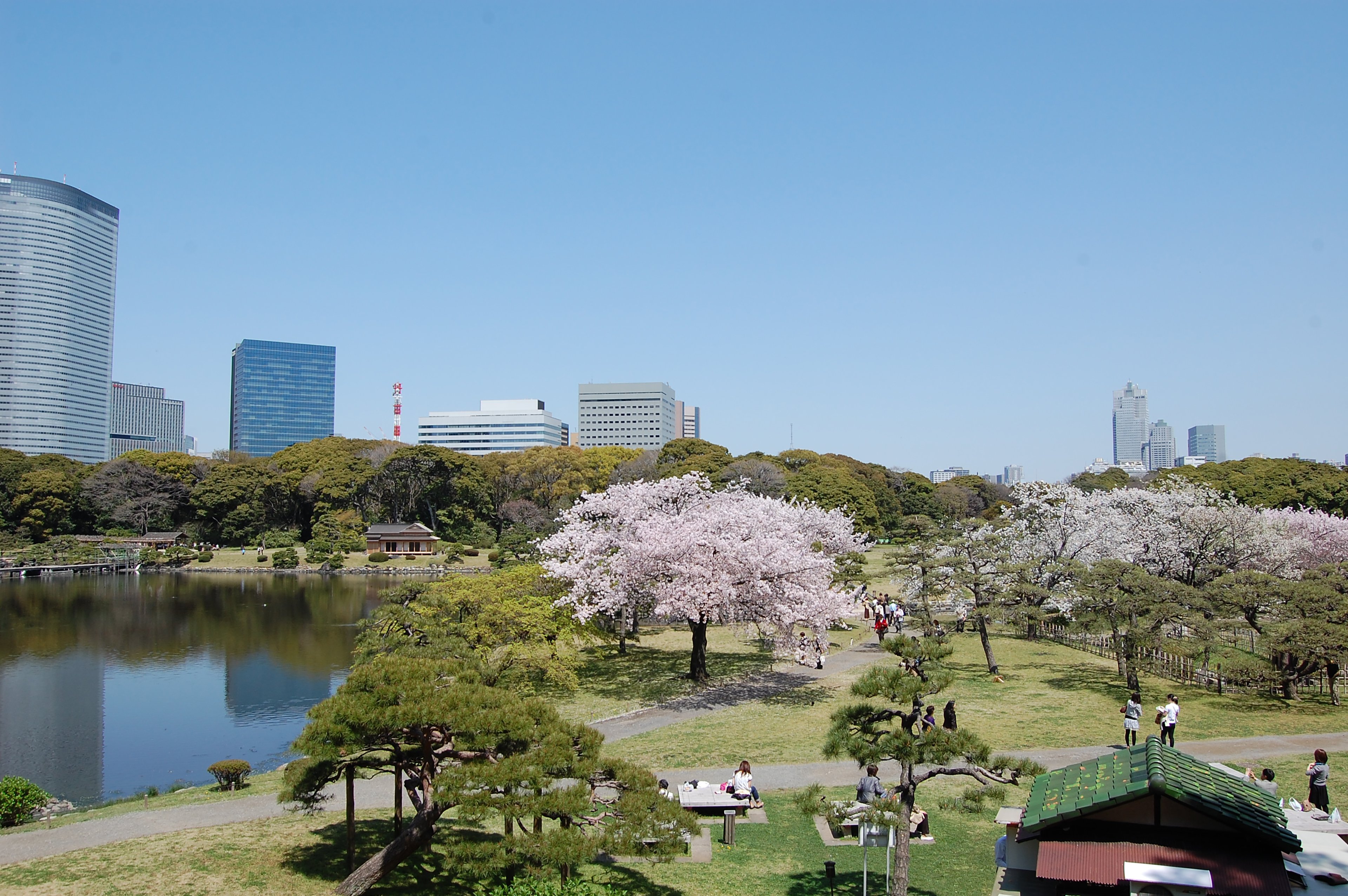 InterContinental Tokyo Bay 63/69