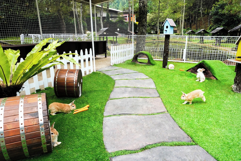 Puteri Gunung Hotel 36/49