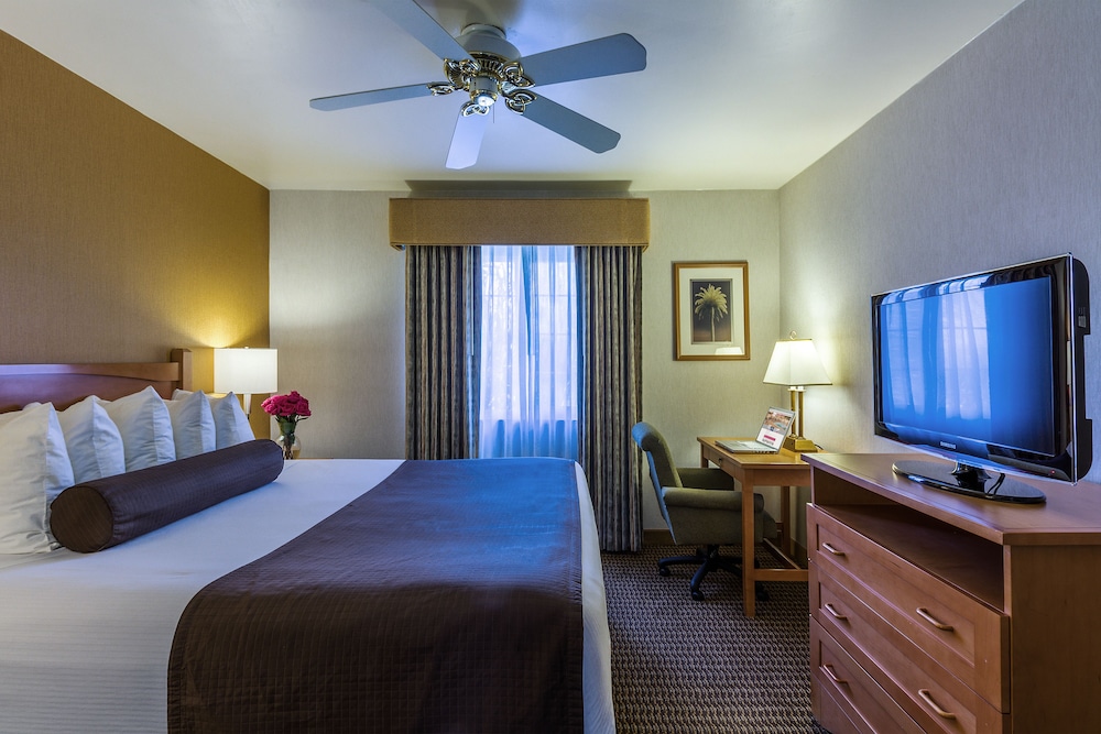Ramada By Wyndham Costa Mesa/Newport Beach 17/38