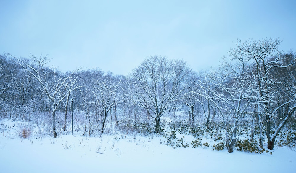 Niseko Northern Resort Annupuri 59/64
