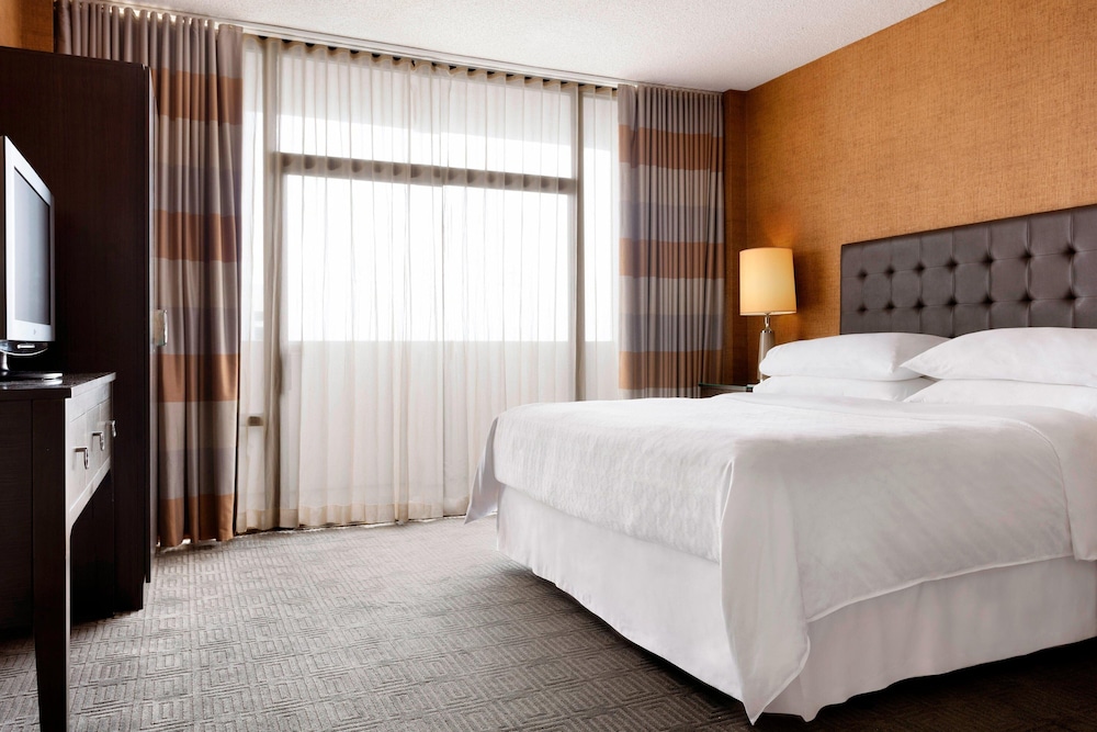 Sheraton Charlotte Hotel 13/50