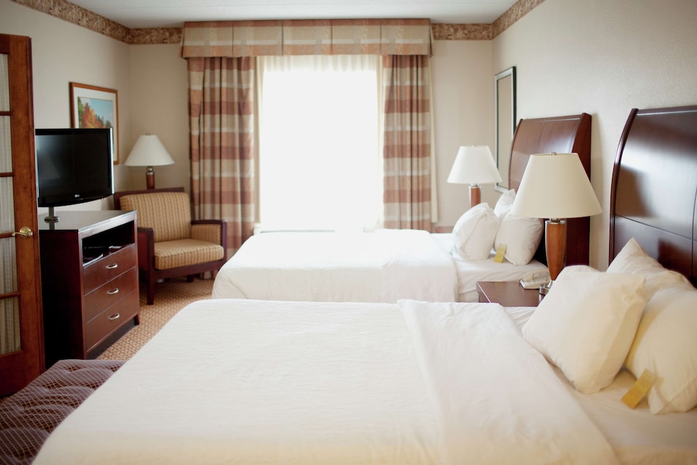 Hilton Garden Inn Rochester Downtown MN 14/40