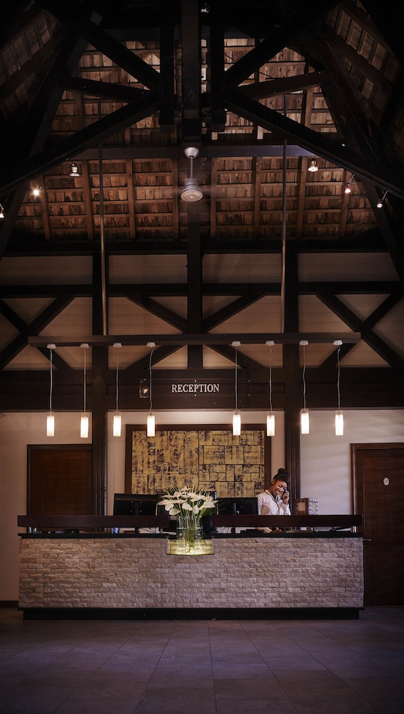 Palm Hotel And Spa 8/75
