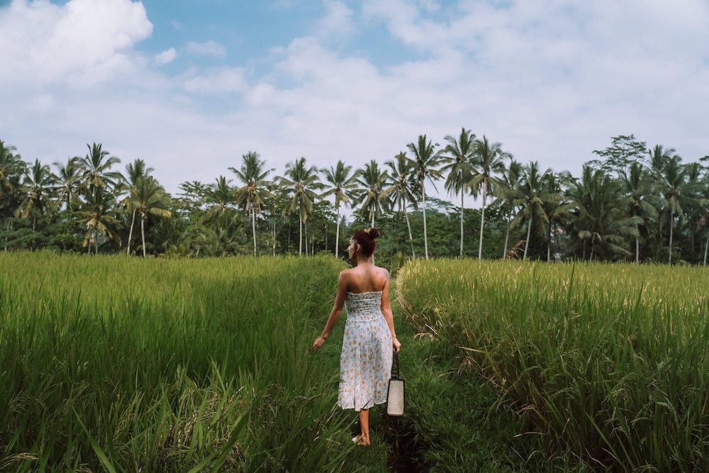 The Kayon Resort 59/81
