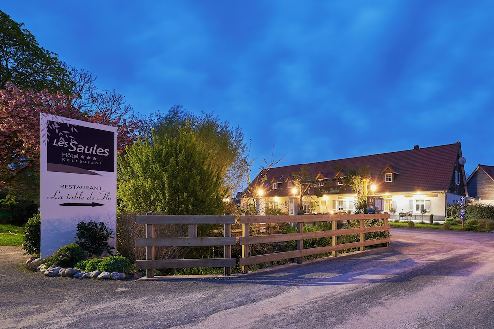 Hotel Les Saules 3/50