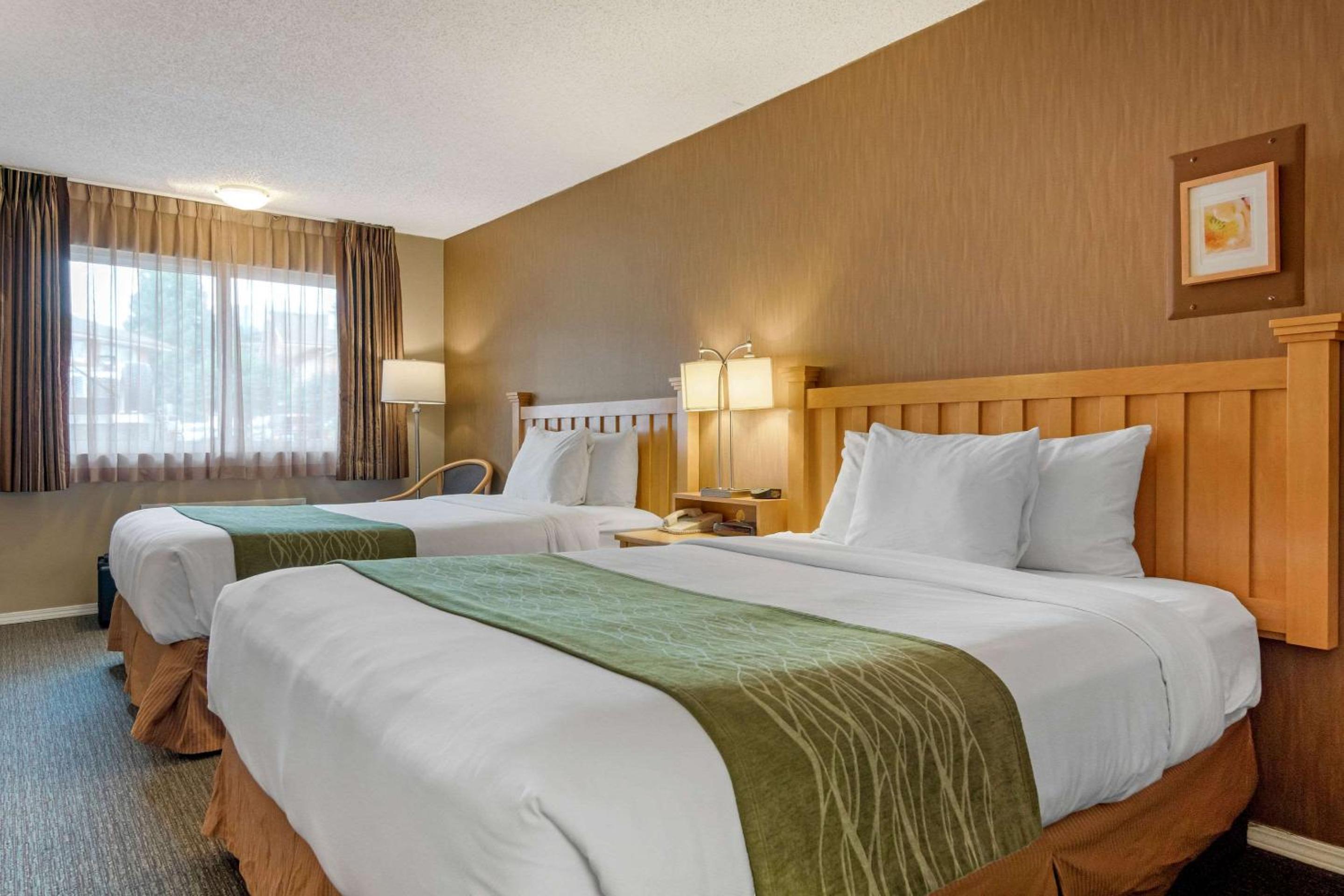 Efficiency, King Bed, 2 Queen Beds
