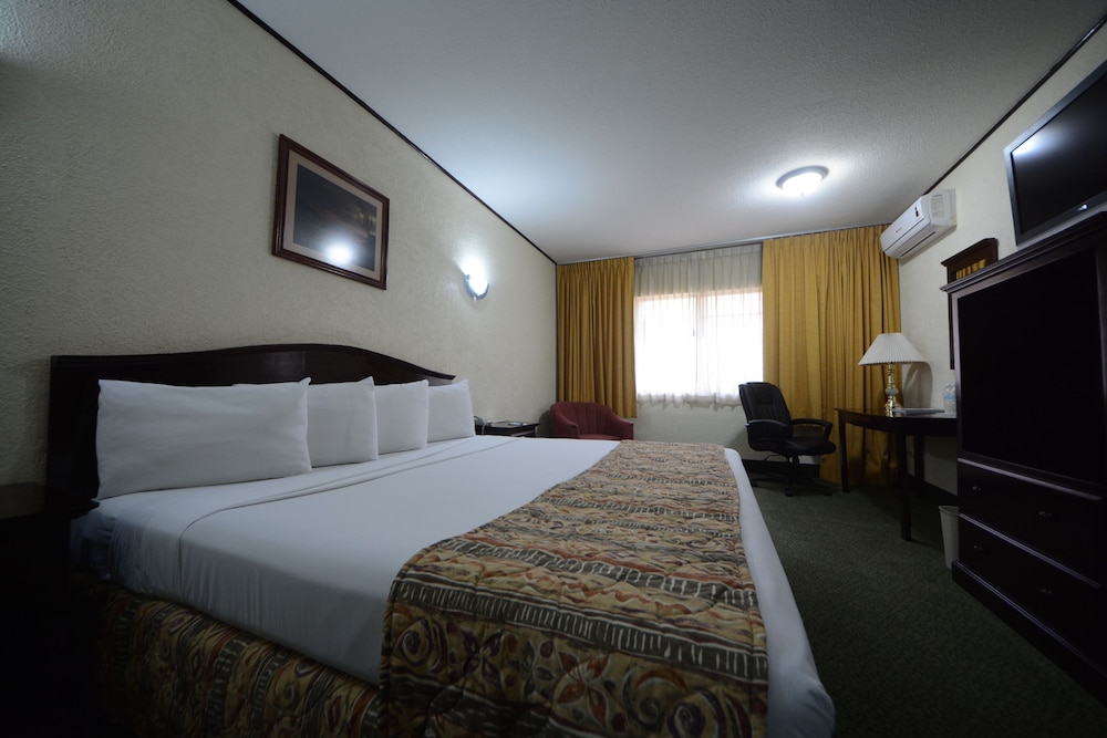 Sicomoro Hotel 16/50