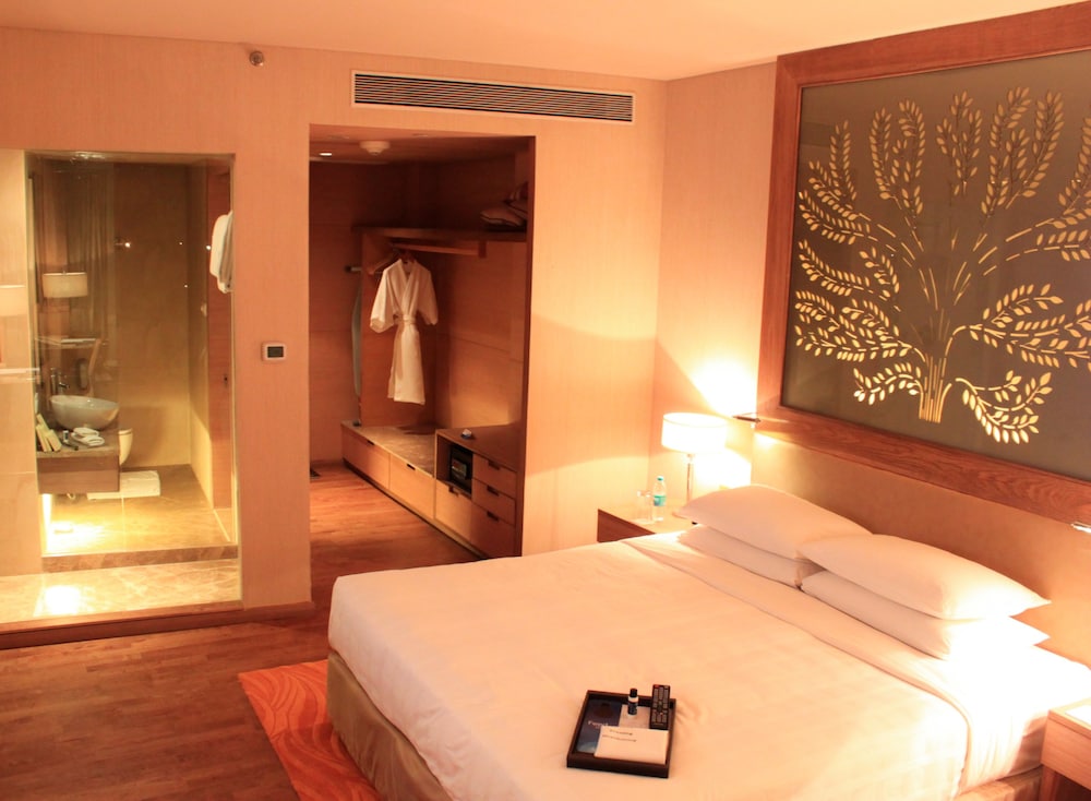 Radisson Blu Hotel, New Delhi Dwarka 15/50