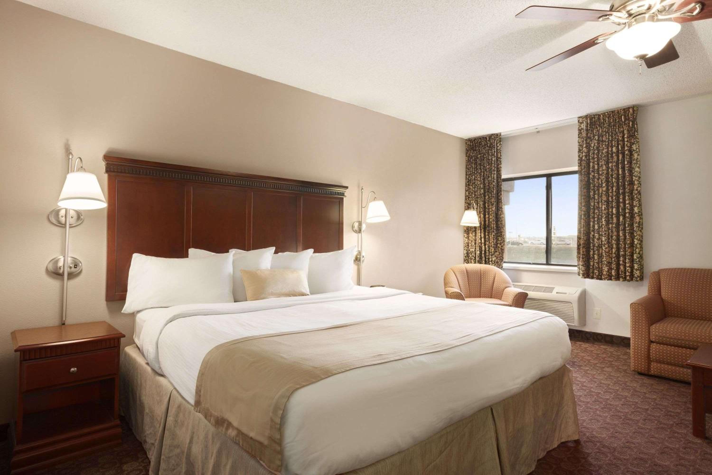 Studio, Suite, King Bed, Sofa