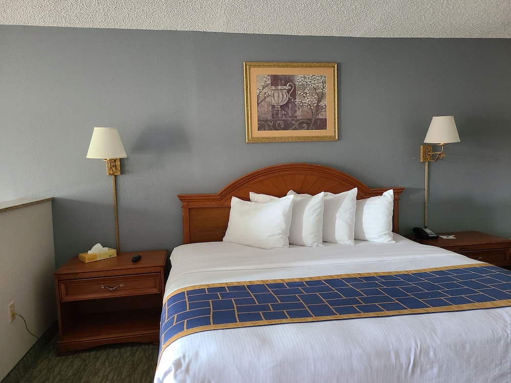 Quality Inn & Suites Orlando East - UCF Arena 16/43