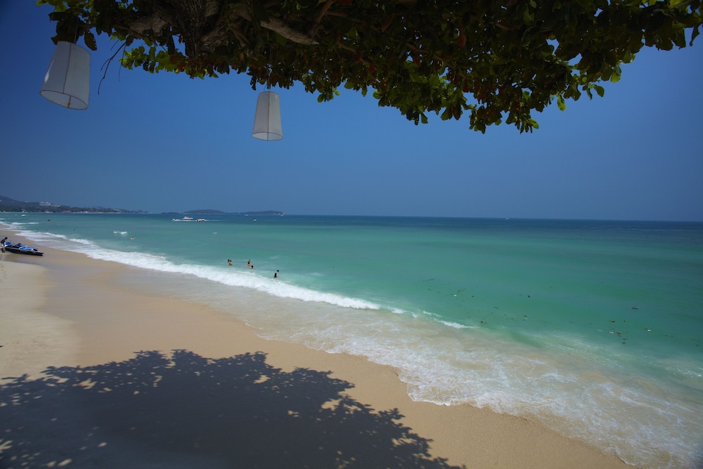 Chaweng Cove Beach Resort 59/72